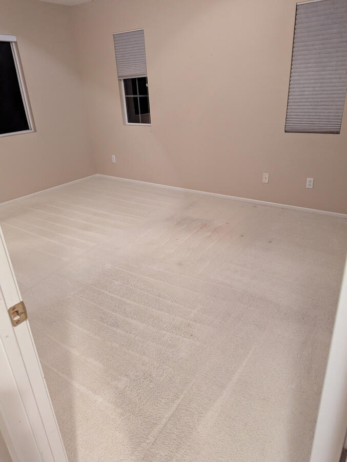 Move out cleaning