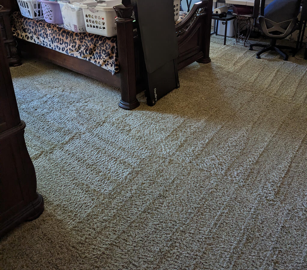 carpet cleaning